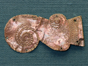 Click to enlarge.